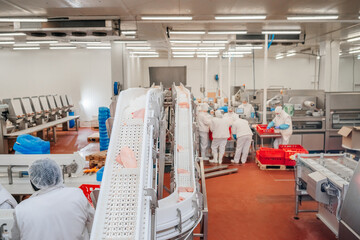 Conveyor Belt Food.The meat factory. Chicken fillet production line . Factory for the production of...