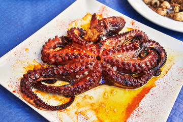  Plate of octopus on paper surface