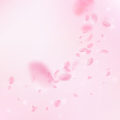 Sakura petals falling down. Romantic pink flowers corner. Flying petals on pink square background. Love, romance concept. Terrific wedding invitation.