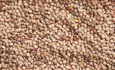 Beautiful lentils image