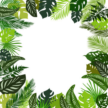 Colorful frame of green tropical leaves in a beautiful style on a white background. Leaf decoration. vector texture. Leave a pattern. frame template. Texture card of summer leaves.Vector illustration