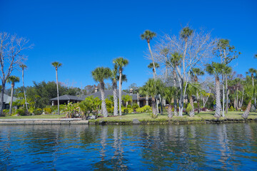 beautiful tree, house along homossasa river in winter. 