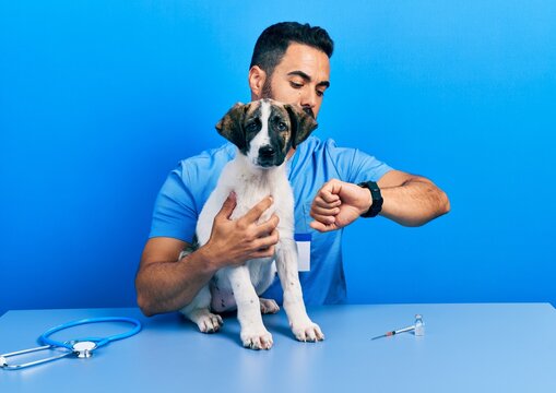 Handsome hispanic veterinary man with beard checking dog health checking the time on wrist watch, relaxed and confident