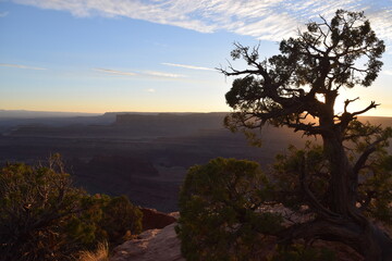 Obraz premium Utah, Canyon Land