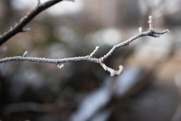 Snow