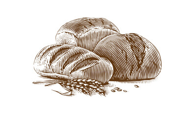 bread, loaf and brick bread Hand drawing sketch engraving illustration style