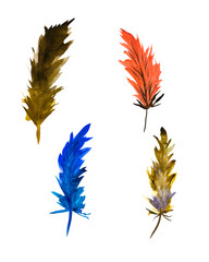 Watercolor feathers. Colorful watercolor feathers....