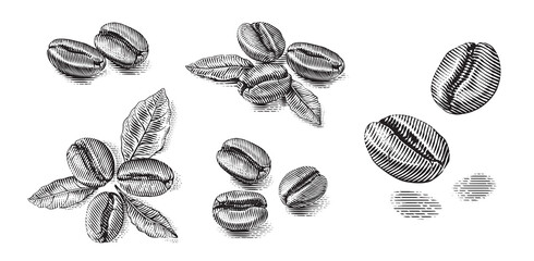 set coffee beans Hand drawing sketch engraving illustration style