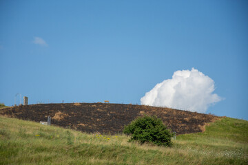 Obraz premium burned field for cleaning in Romania 2021 