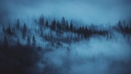 Zelfklevend Fotobehang Mistig bos mist in het bos