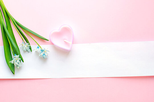 A bouquet of spring flowers on a pink background with a white strip for text. 8 march, mother's day, St. Valentine spring background. Copy space. Mockup.
