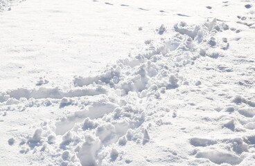 Fototapeta premium Snow texture