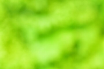 Fototapeta na wymiar Blurred Abstract Green Lettuce Leaves Background