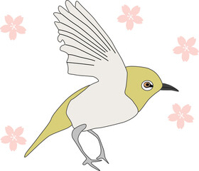 羽を広げるメジロのイラスト