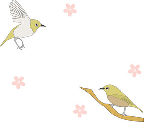 2羽の可愛いメジロの背景素材