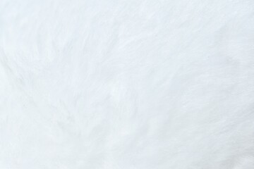 Plakat white fur texture abstract background