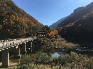 bridge leading to temple gate 