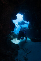 divers amazed by the coral reef