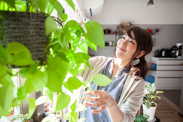 観葉植物に水やりをする女性