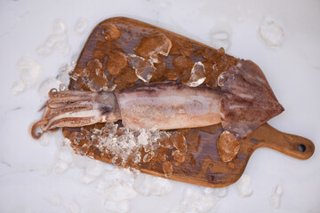 Raw squid on ice with salad spices lemon lime on the wooden cutting board background, fresh squids octopus or cuttlefish for cooked food at restaurant or seafood market
