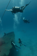 divers amazed by a shipwreck