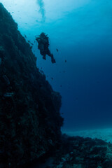diver amazed by a shipwreck