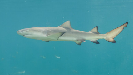 St. Thomas, United States Virgin Islands