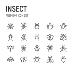 Foto op Plexiglas Set of insect line icons. © dstarky