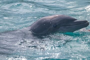 St. Thomas, United States Virgin Islands
