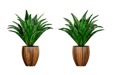 Isometric plant potted 3d rendering