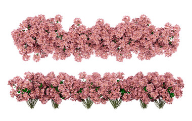 Isometric flower garden 3d rendering