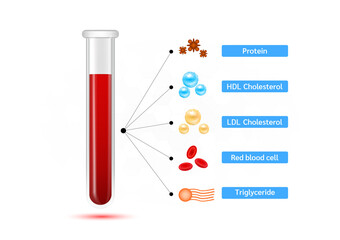 Medical blood test cholesterol in test tube. cholesterol meter scale comparison with HDL and LDL lipoprotein. Normal blood flow. Hematologic diseases concept. Vector EPS10.
