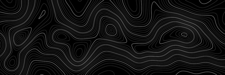Imitation of a geographical map, white lines on dark background, vector design