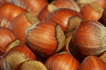 heselnut close up many food background