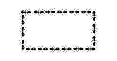 Black ants square border. Set with ants forming rectangular shape isolated in white background. Vector illustration