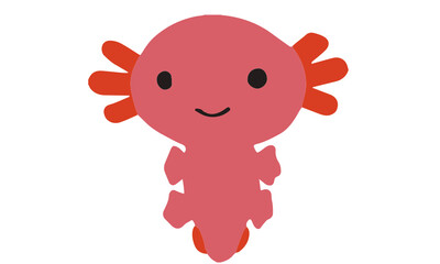 cute axolotl, mexican animal