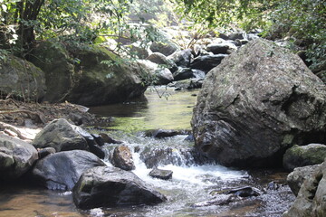 Naklejka na ściany i meble stream in the forest of coorg