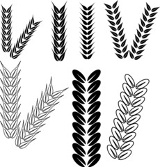 Wheat Ears Icons and Logo Set. For Identity Style of Natural Product Company and Farm Company. Organic wheat, bread agriculture and natural eat..eps