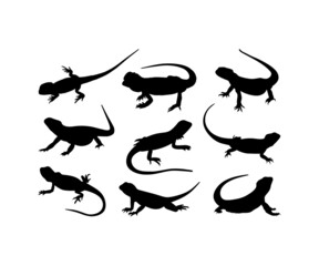 Bearded Dragon silhouette, Bearded Dragon svg, Bearded Dragon Vector, Bearded dragon, Bearded dragon Cricut file, dragon Png, Cuttable