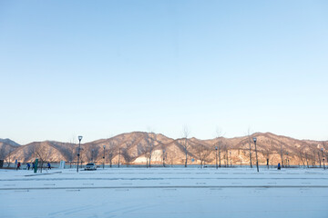 snow scene