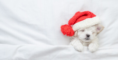 Tiny Maltese puppy wearing red santa hat sleeps under white blanket at home. Top down view. Empty...