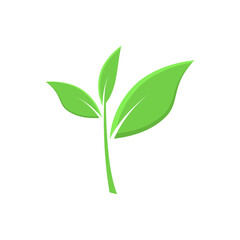 leaves symbol icon set vector illustration logo concept, leaf plant green isolated vector