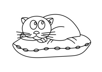 Cute cat lies on a pillow isolated on a white background. Line art. Vector illustration