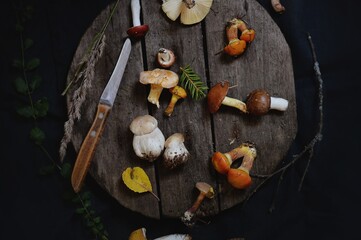 Obraz na płótnie Canvas mushrooms and a knife lie on a wooden cutting board