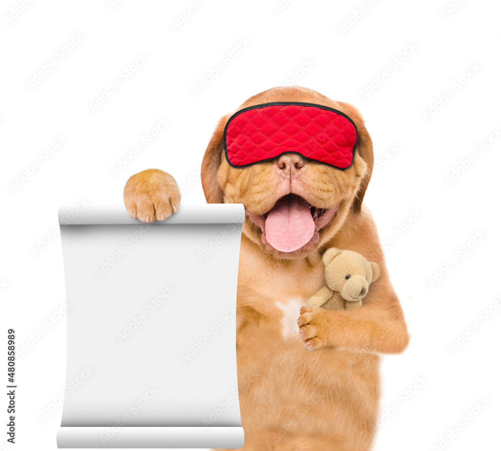Poster yawning mastiff puppy wearing mask for sleep hugs toy bear and shows empty list. isolated on white b