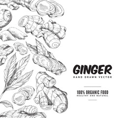 Border ginger set with root, slice pieces, powder and leaves in sketch style.