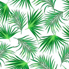 Tropical illustration with palm leaves. Jungle wallpaper with exotic plants. Summer tropical leaf background. Summer foliage print. Pattern design.
