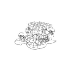 Honeycomb in hand drawn monochrome sketch style, vector illustration isolated on white background.