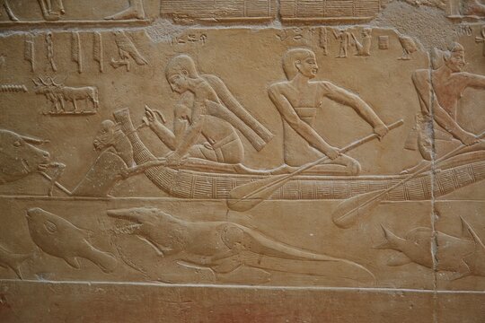 Scenes from the Tomb of Kagemni at Saqqara, Egypt