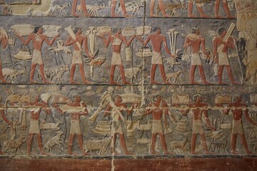 Fototapeta na wymiar Scenes from the Tomb of Mehu, Saqqara, Egypt